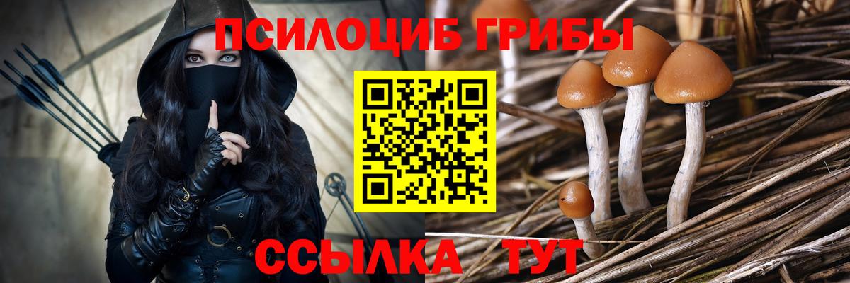 Псилоцибиновые грибы MAGIC MUSHROOMS  Вход с VPN  Псилоцибиновые грибы прущие грибы  Ейск 