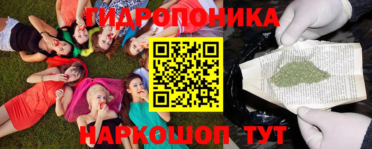Бошки Шишки планчик  МАРИХУАНА SATIVA & INDICA  Каннабис индика  Вход с VPN  Ейск  Канабис сатива 